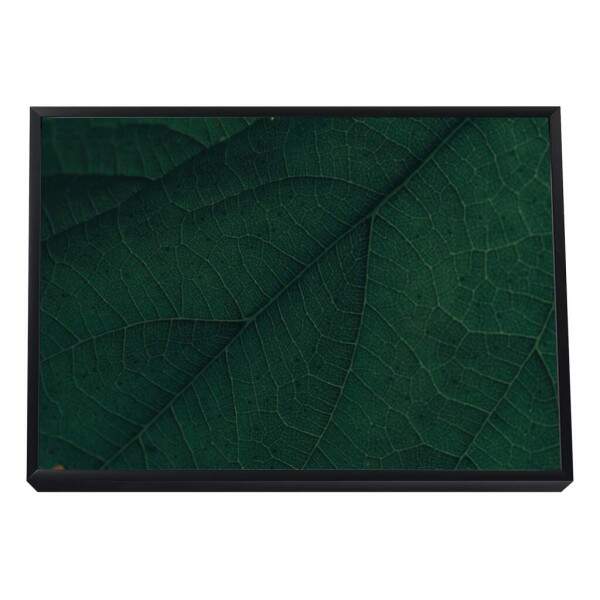 Quadro Decorativo: Explendor Verde Vibrante