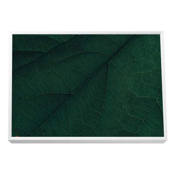 Quadro Decorativo: Explendor Verde Vibrante