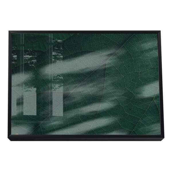 Quadro Decorativo: Explendor Verde Vibrante