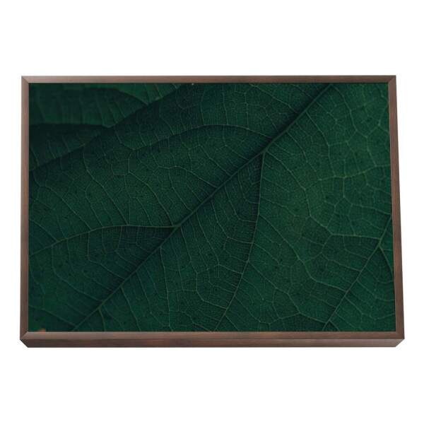 Quadro Decorativo: Explendor Verde Vibrante