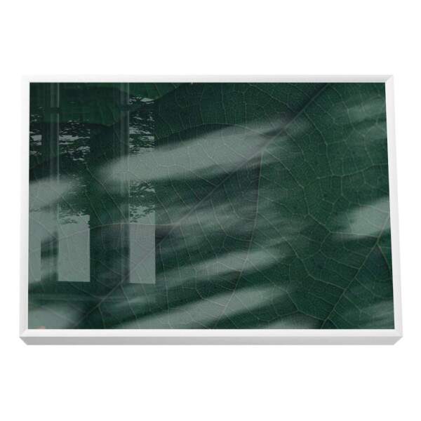 Quadro Decorativo: Explendor Verde Vibrante