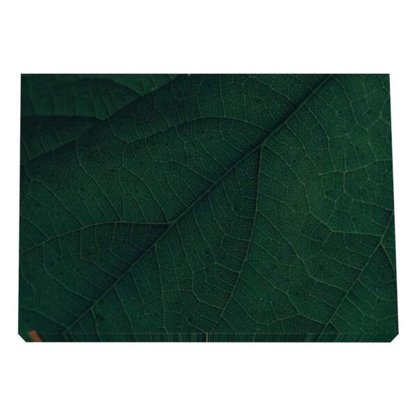Quadro Decorativo: Explendor Verde Vibrante