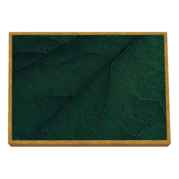 Quadro Decorativo: Explendor Verde Vibrante