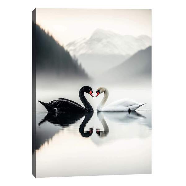 Quadro Decorativo O Amor Dos Cisnes