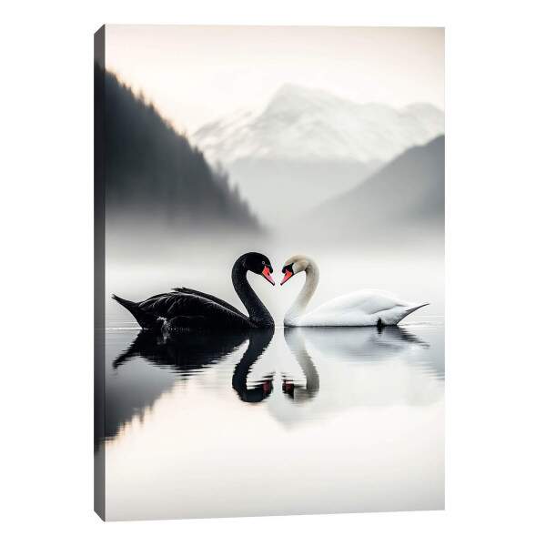 Quadro Decorativo O Amor Dos Cisnes
