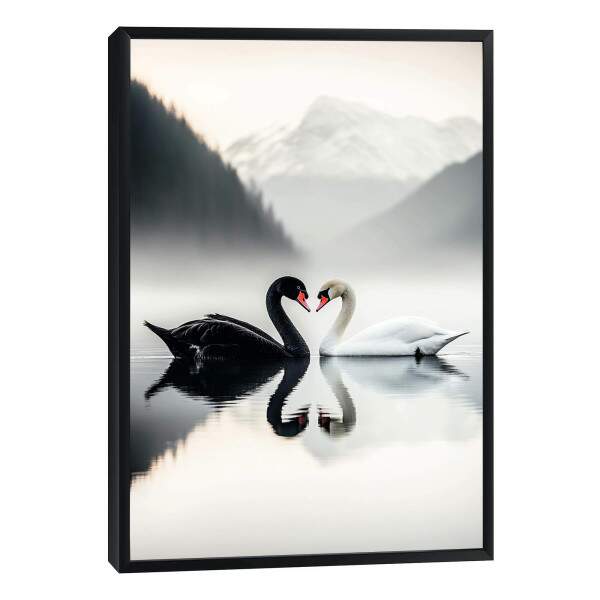 Quadro Decorativo O Amor Dos Cisnes