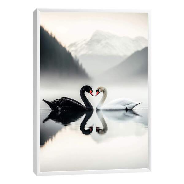 Quadro Decorativo O Amor Dos Cisnes