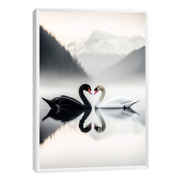 Quadro Decorativo O Amor Dos Cisnes