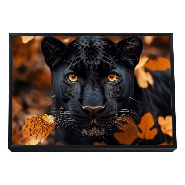 Quadro Decorativo A Grandeza da Pantera