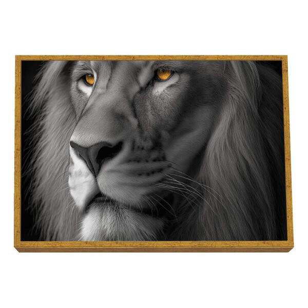 Quadro Decorativo - Leo em Preto e Branco