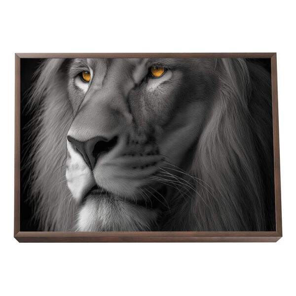 Quadro Decorativo - Leo em Preto e Branco
