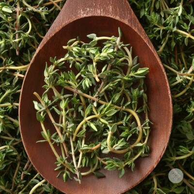 Tomilho - 20g - Orgnico - Vale Ecolgico