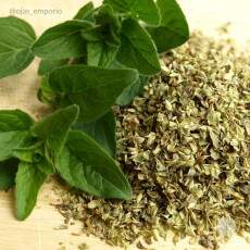 Organo - 20g - Orgnico - Vale Ecolgico