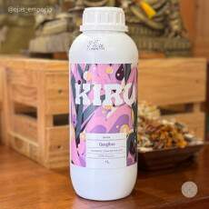 Xarope Concentrado de Gengibre - 1L - Kiro