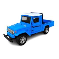 Carrinho Infantil de Ferro Bandeirante Cl�ssico Azul