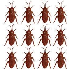 Decora��o Festa Halloween Dia Bruxas 12 Baratas de Pl�stico