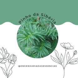 leo Essencial de Pinho da Sibria - nica Opo: 05/2026
