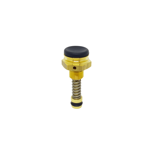Kit Reparo Pisto Controle Lav Presso Karcher HD6/13 48725