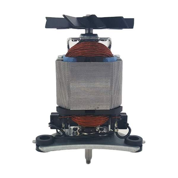 Motor 127V Para Liquidificador Philips Walita RI2001 49130