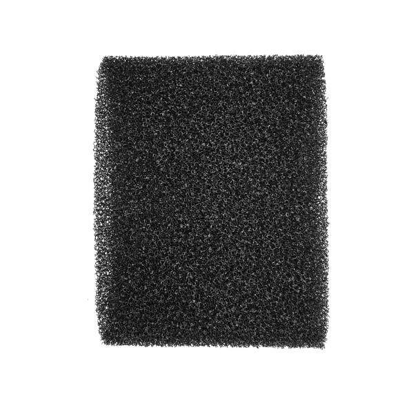 Filtro Espuma Original Aspirador Wap GTW 10 INOX 20 ID50596