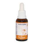 Bio Florais Teraputico na Indisciplina 31mL
