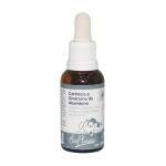 Bio Florais Teraputico para Carncia e Abandono 31mL