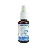 Bio Florais Teraputico para Adestramento 31mL