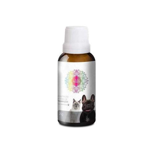 Floral Pet Adaptao e Fases De Transio - The Best Flowers