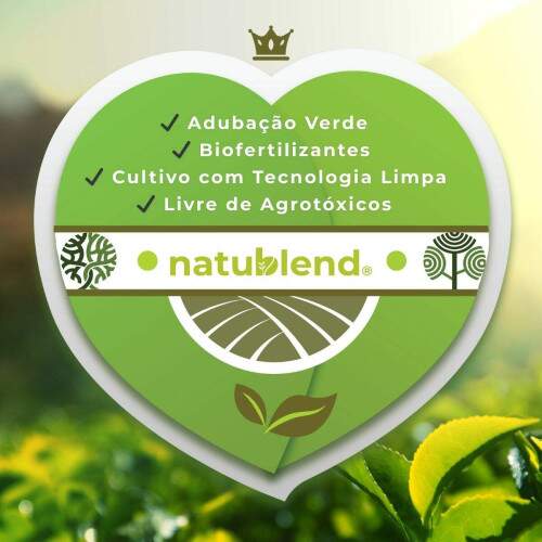 Ch de Lavanda Importado - Alfazema Azul - Lavandula officinalis - 50g
