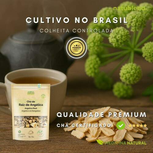 Ch de Raiz de Anglica - Angelica archangelica - 50g