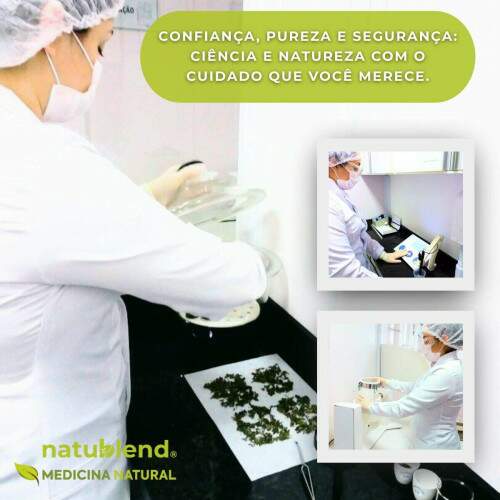 Ch de Cana do Brejo 50g - Folhas Aromticas e Suaves - Nativa do Brasil