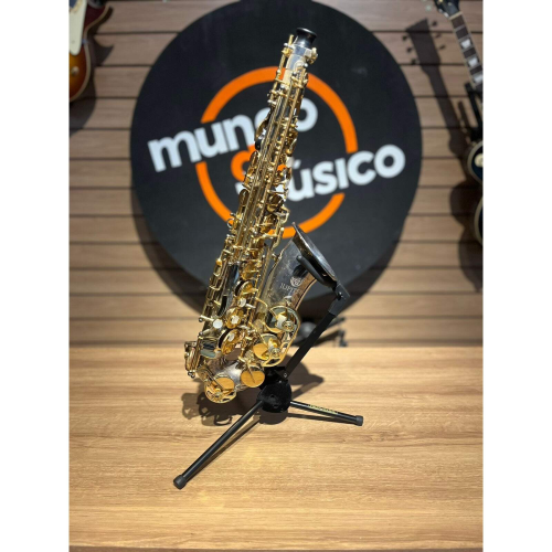 シマグミ　/ 557 シマグミ / 557