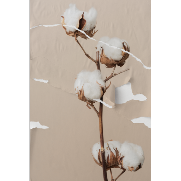 P�STER LAMBE-LAMBE - BODHI SECO MOD.3