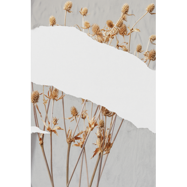 P�STER LAMBE-LAMBE - BODHI SECO MOD.6