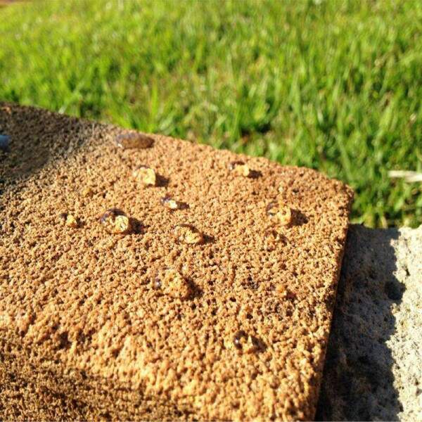 NANO PROTEGE GOLD 1 LITRO - NANO4YOU