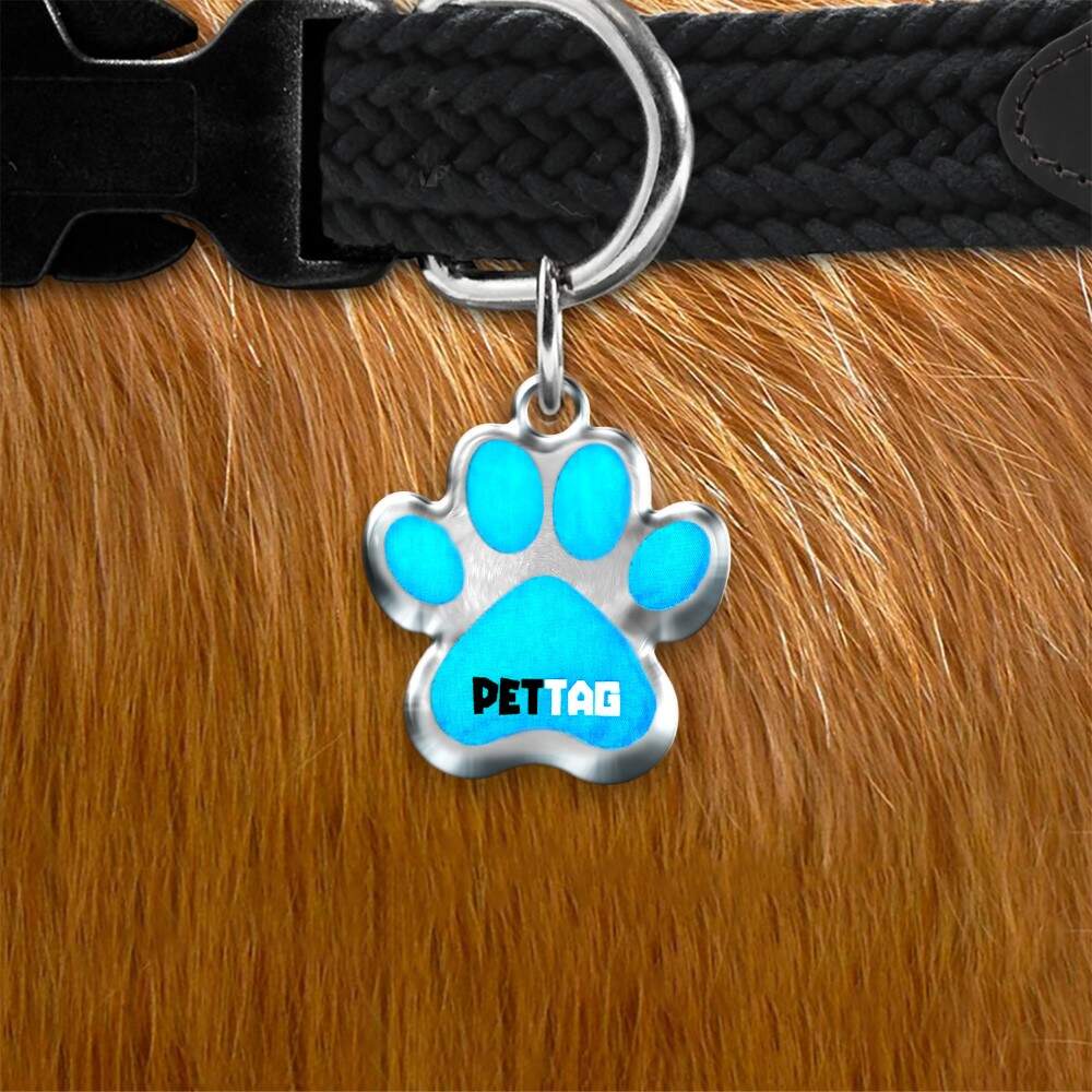 Pet Tag - Patinha - Azul Ciano - para todos os portes