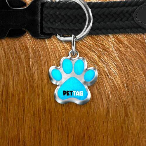 Pet Tag - Patinha - Azul Ciano - para todos os portes