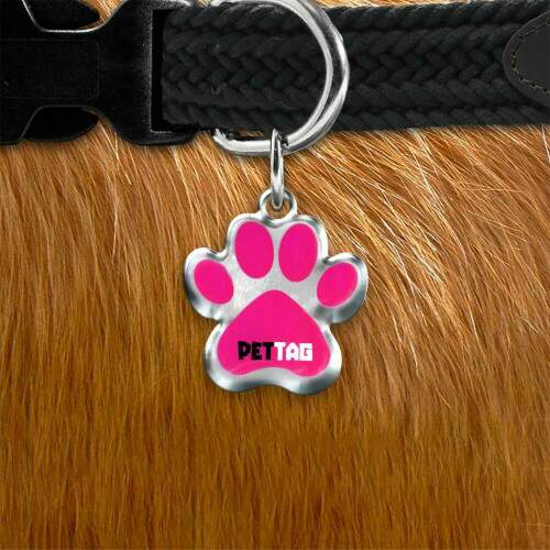Pet Tag - Patinha - Rosa - para todos os portes