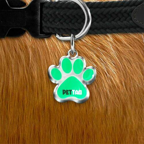 Pet Tag - Patinha - Verde - para todos os portes