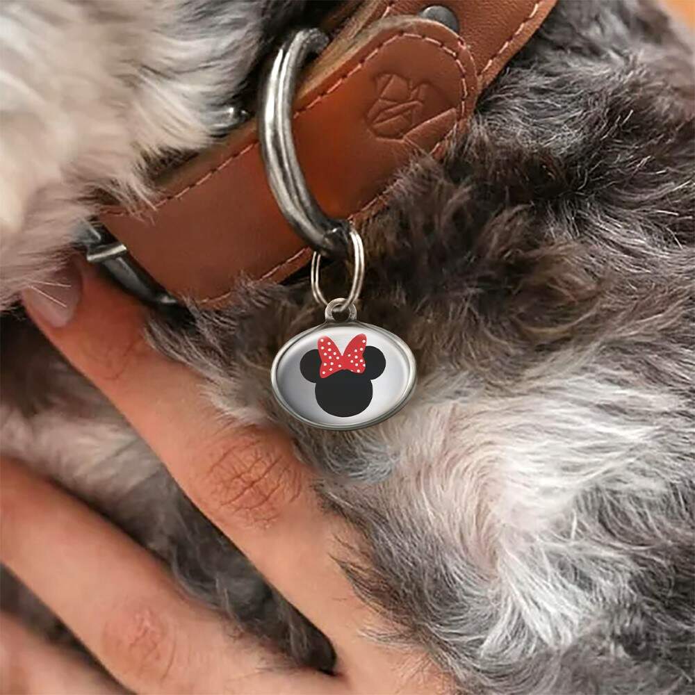 Pet Tag - Minei - para portes mini pequeno