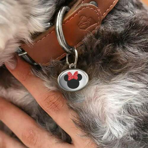 Pet Tag - Minei - para portes mini pequeno