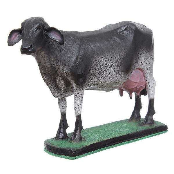 Escultura em Resina Vaca Girolanda Home Western Decor 30874