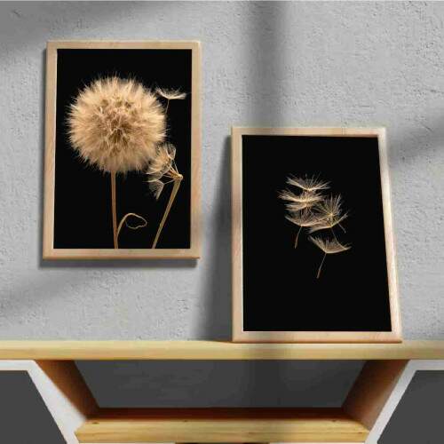 Quadro Dente de Leo Fundo Preto
