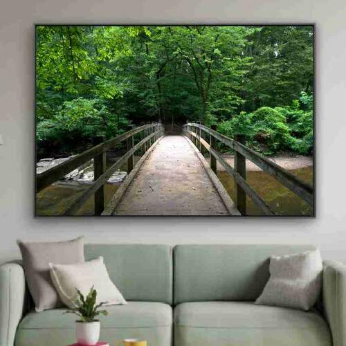 Quadro Ponte Sobre o Rio Entrada da Floresta