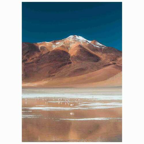 Quadro Montanha Deserto Pico de Neve