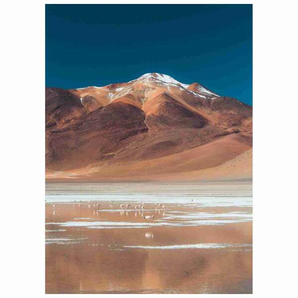 Quadro Montanha Deserto Pico de Neve