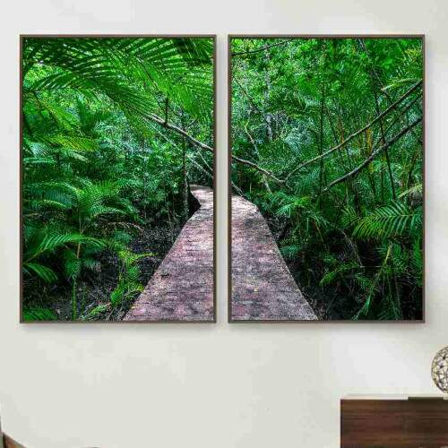 Quadro Trilha Parque Natural