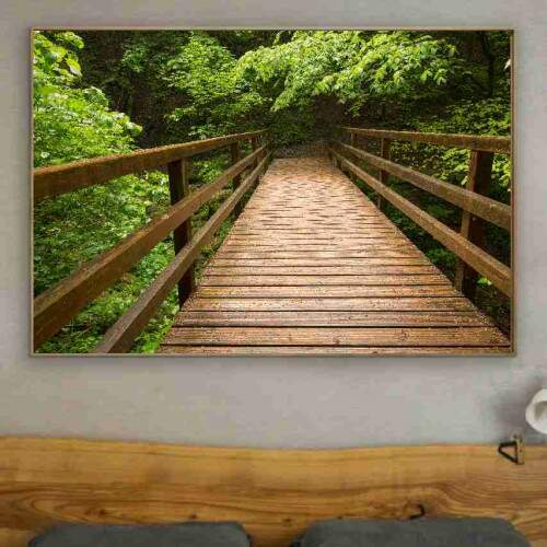 Quadro Passarela de Madeira Floresta Verde