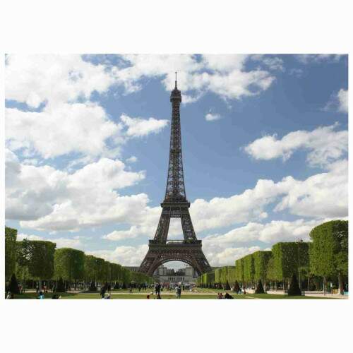Quadro Torre Eiffel Jardim Paris