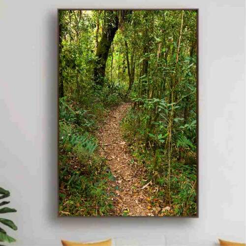 Quadro Trilha Pela Floresta